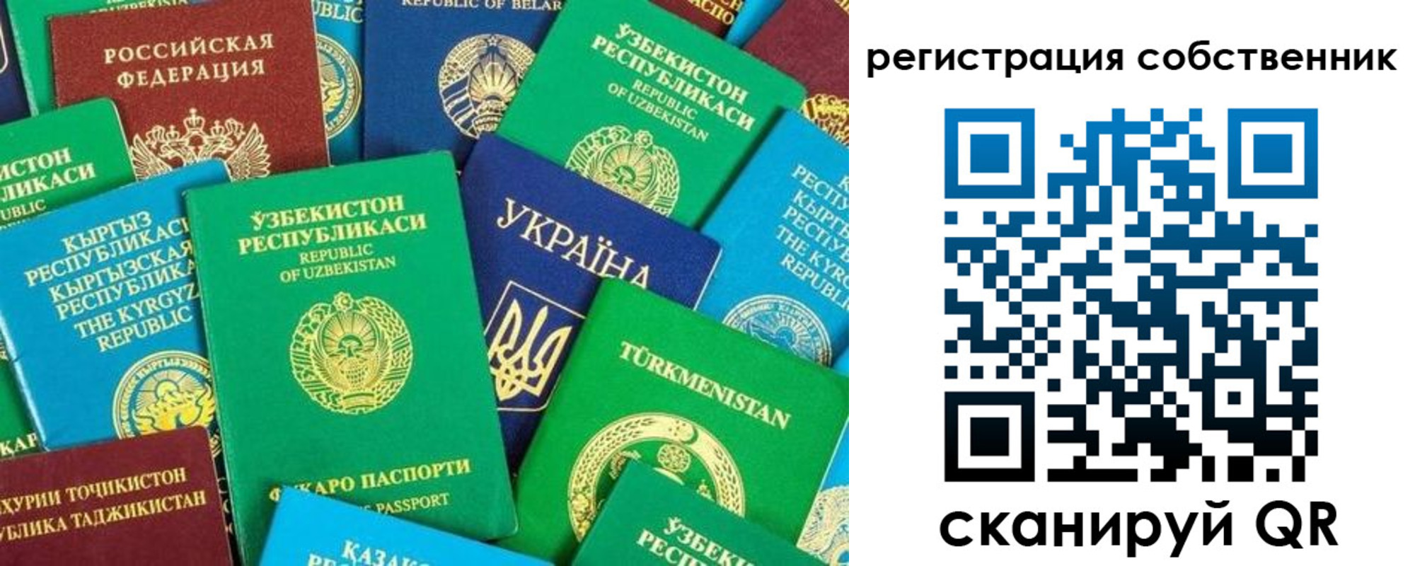 прописка в Кувшиново